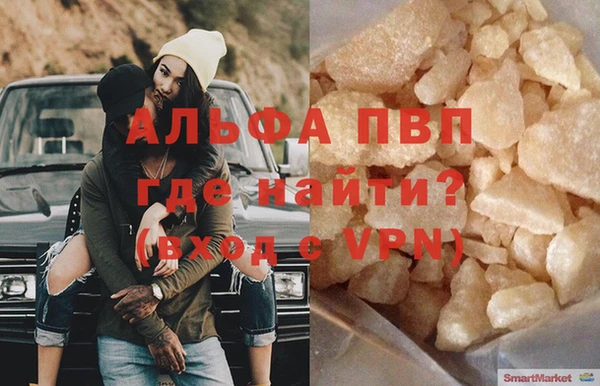 прущие крисы Бородино